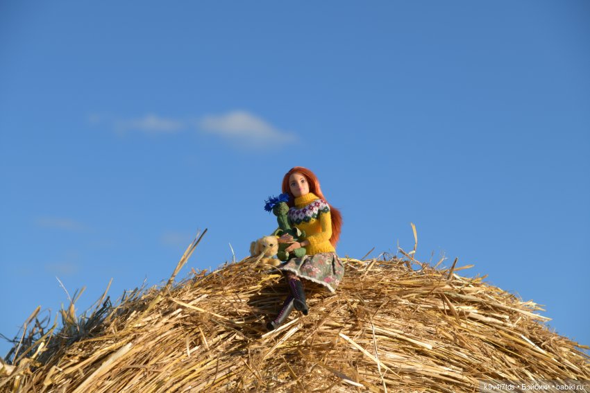 Чудное приволье — Куклы Barbie (Барби): Looks