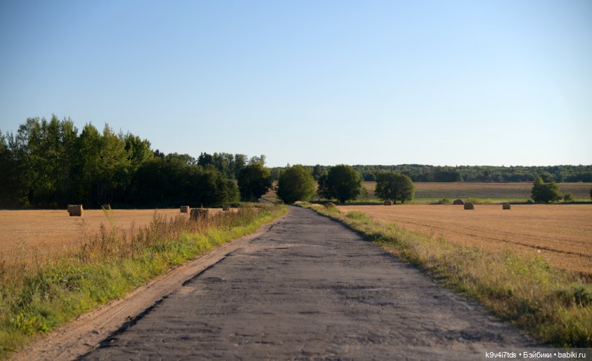 Чудное приволье — Куклы Barbie (Барби): Looks