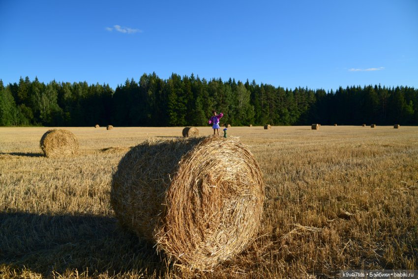 Чудное приволье — Куклы Barbie (Барби): Looks (фото 6)