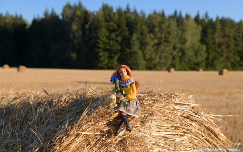 Чудное приволье — Куклы Barbie (Барби): Looks