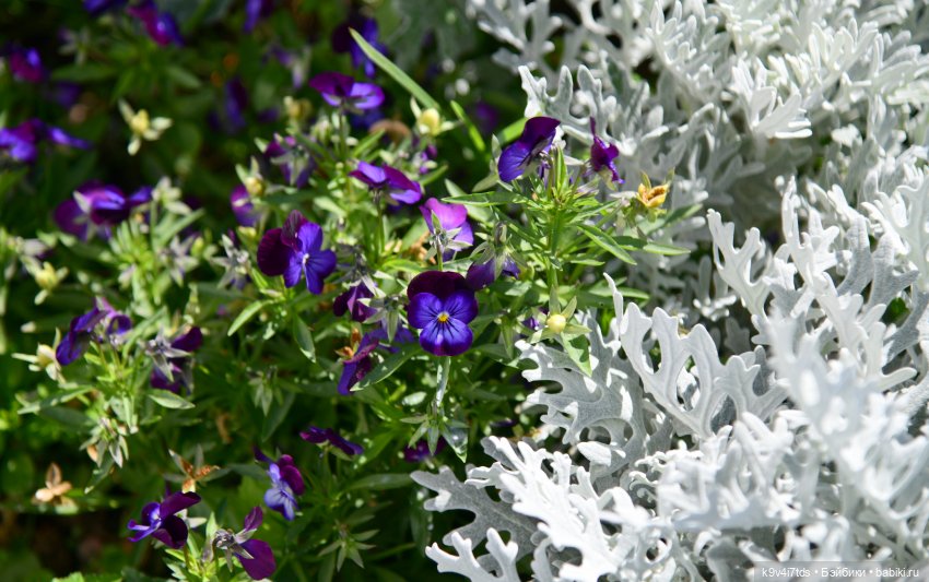 Барби в Торжке — Туризм и путешествия: фотоотчеты из поездок