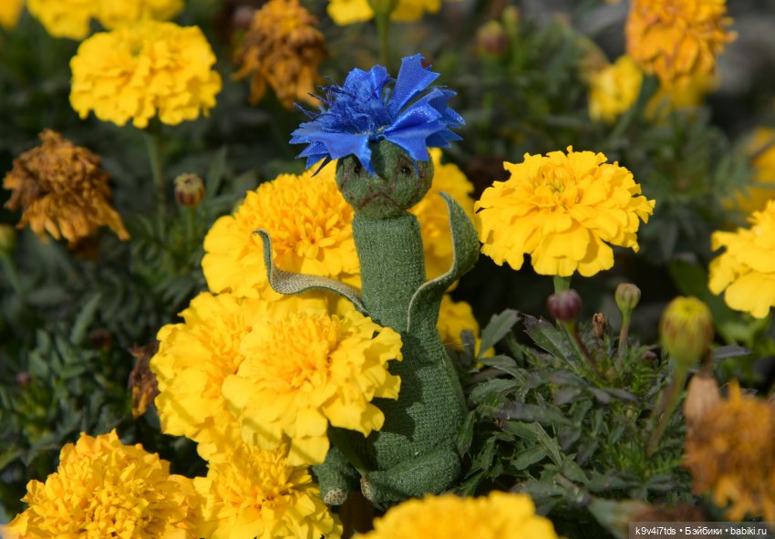 Барби в Торжке — Туризм и путешествия: фотоотчеты из поездок