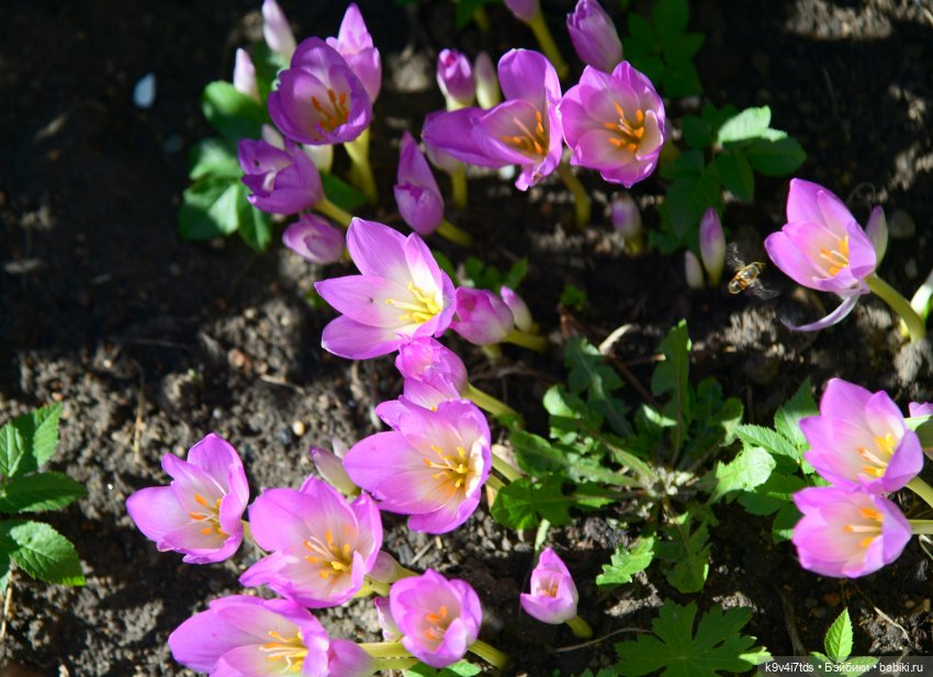 Барби в Торжке — Туризм и путешествия: фотоотчеты из поездок