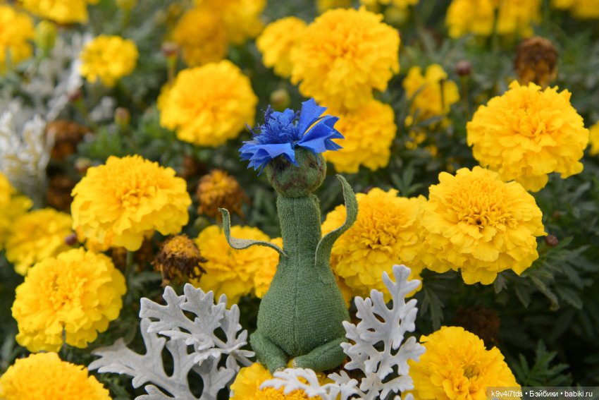 Барби в Торжке — Туризм и путешествия: фотоотчеты из поездок