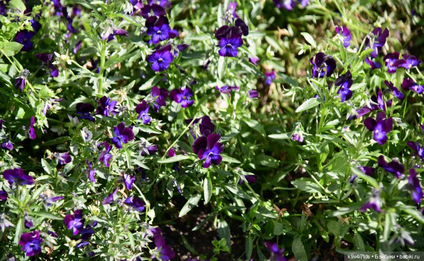 Барби в Торжке — Туризм и путешествия: фотоотчеты из поездок