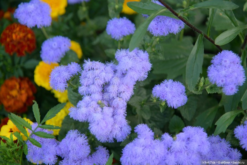 Сентябрьское путешествие в Торжок