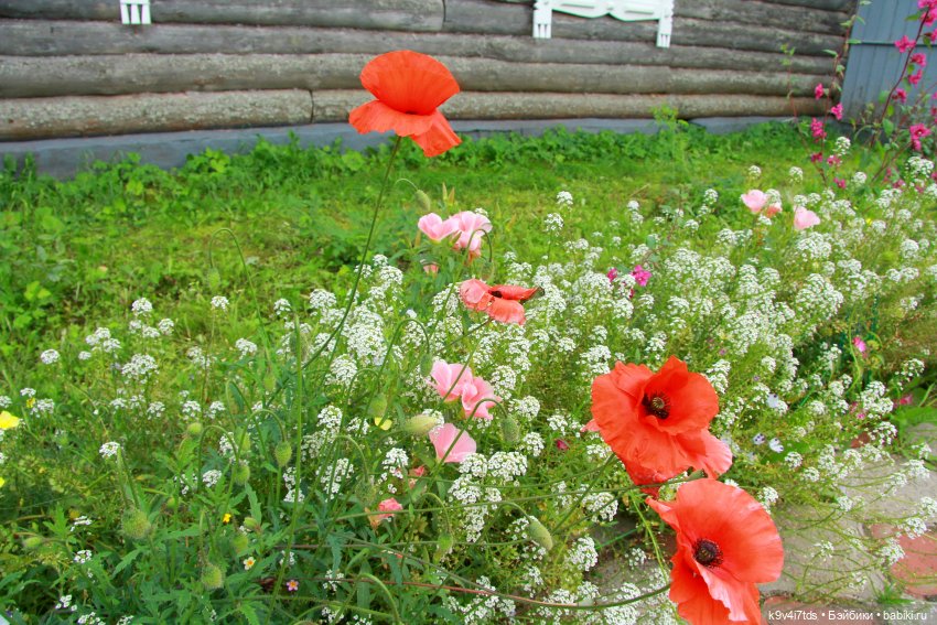 Музей С.Я. Лемешева, село Князево, Тверская область