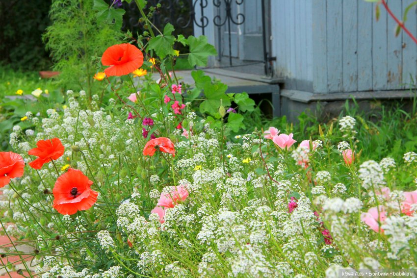 Музей С.Я. Лемешева, село Князево, Тверская область