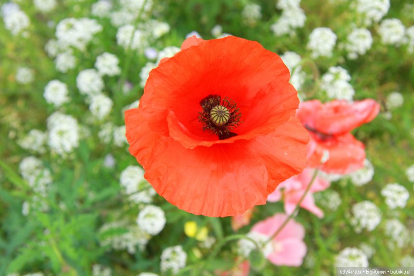 Музей С.Я. Лемешева, село Князево, Тверская область