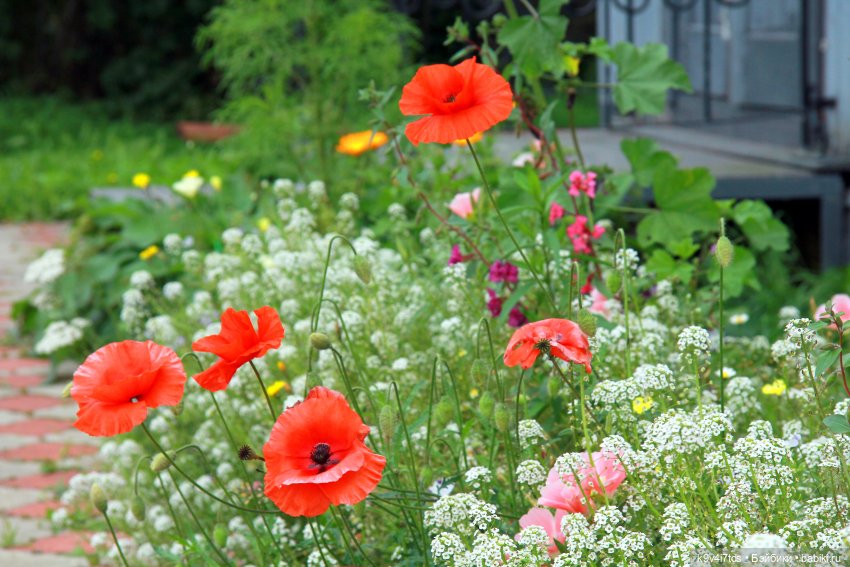 Музей С.Я. Лемешева, село Князево, Тверская область