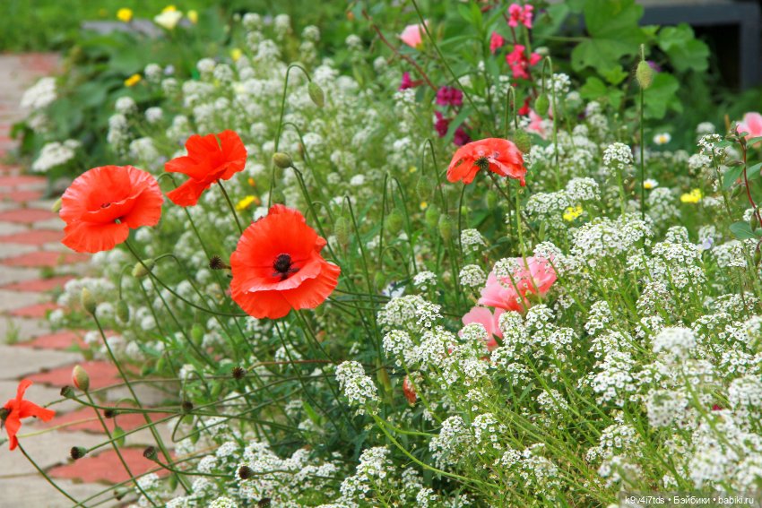 Музей С.Я. Лемешева, село Князево, Тверская область