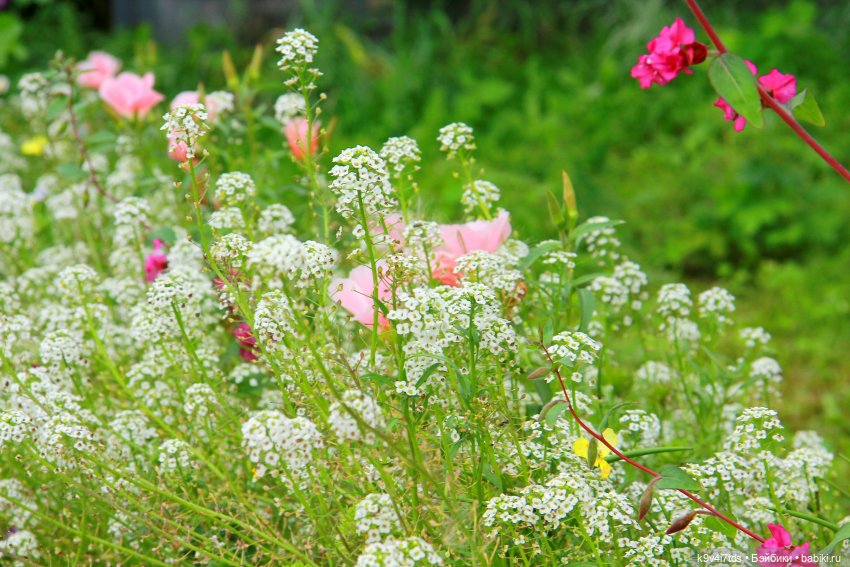 Музей С.Я. Лемешева, село Князево, Тверская область