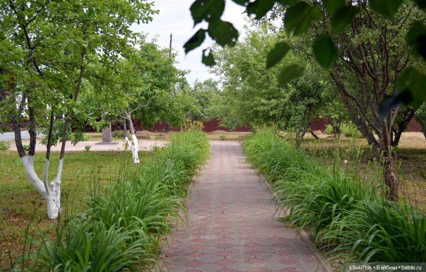 Музей С.Я. Лемешева, село Князево, Тверская область, продолжение (фото 7)