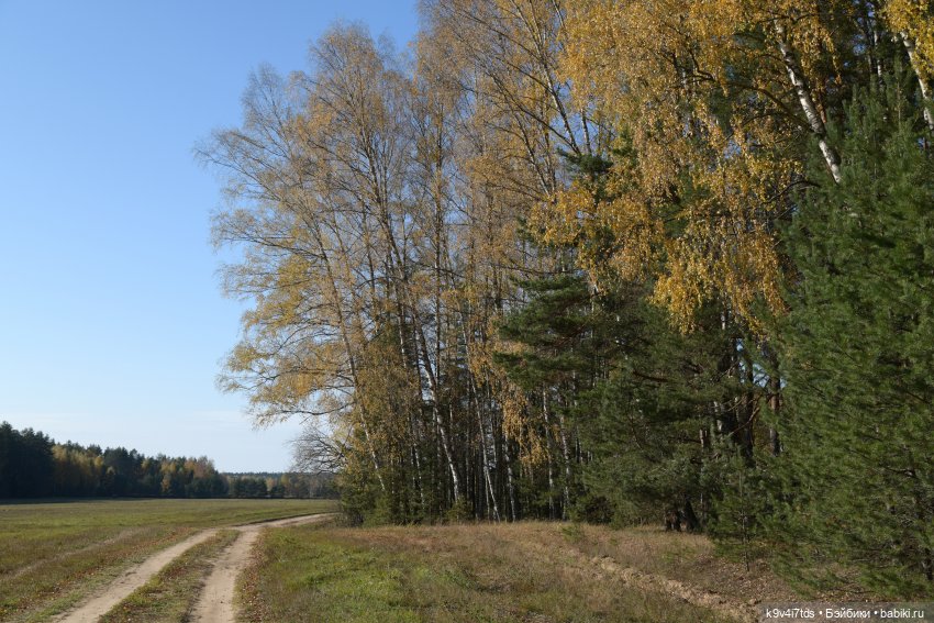 Симона и мишка Альфонсо — Антикварные куклы Simon & Halbig (S&H): Симон Хальбиг