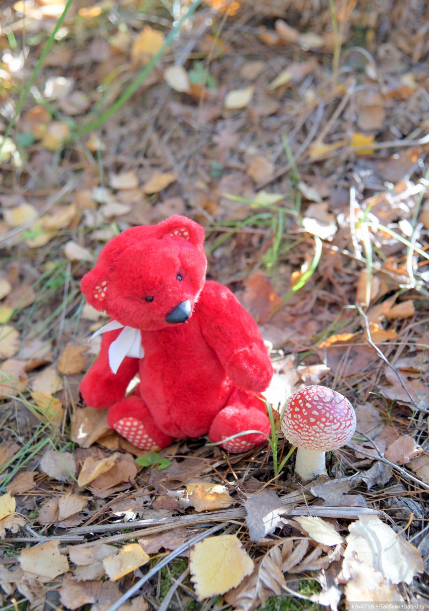 Симона и мишка Альфонсо — Антикварные куклы Simon & Halbig (S&H): Симон Хальбиг