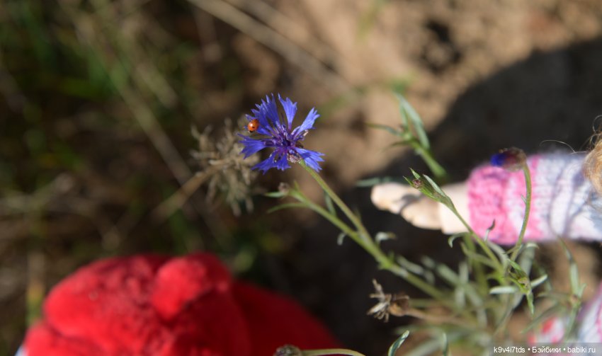 Симона и мишка Альфонсо — Антикварные куклы Simon & Halbig (S&H): Симон Хальбиг (фото 5)