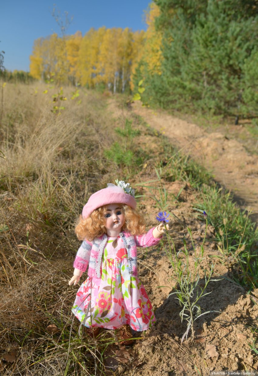 Симона и мишка Альфонсо — Антикварные куклы Simon & Halbig (S&H): Симон Хальбиг (фото 4)