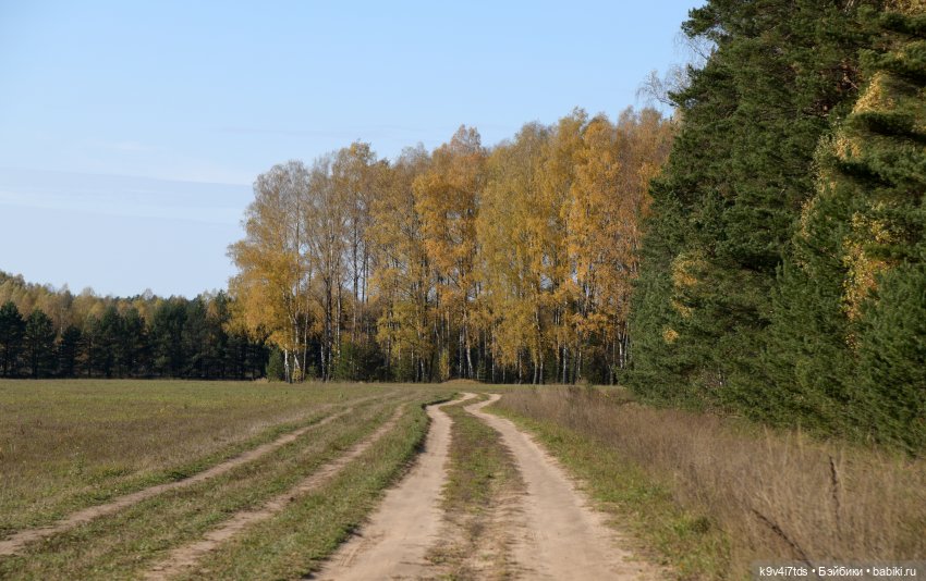 Симона и мишка Альфонсо — Антикварные куклы Simon & Halbig (S&H): Симон Хальбиг