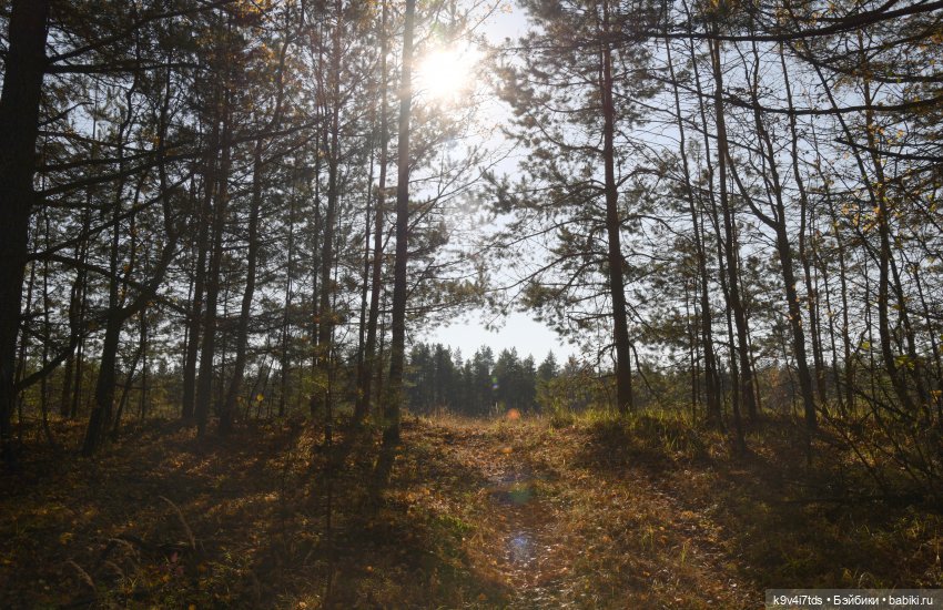 Симона и мишка Альфонсо — Антикварные куклы Simon & Halbig (S&H): Симон Хальбиг