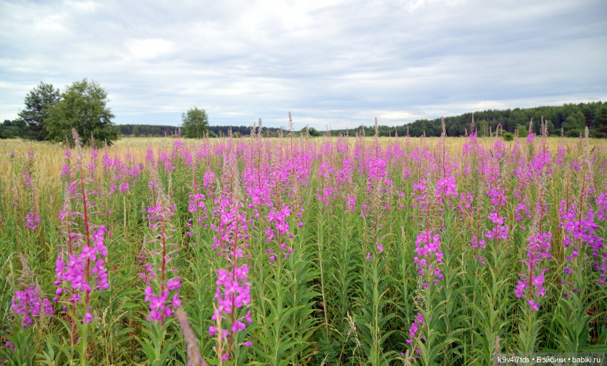Музей С.Я. Лемешева, село Князево, Тверская область, продолжение