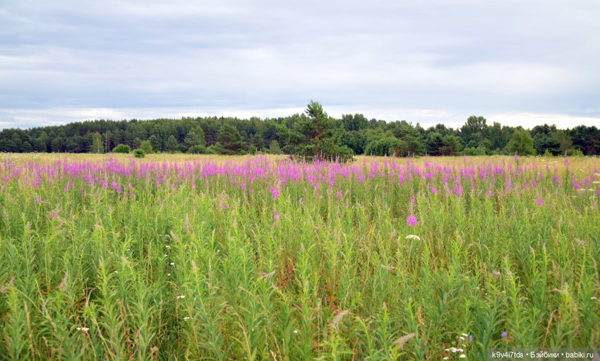 Музей С.Я. Лемешева, село Князево, Тверская область, продолжение