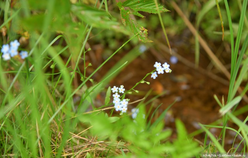 Музей С.Я. Лемешева, село Князево, Тверская область, продолжение