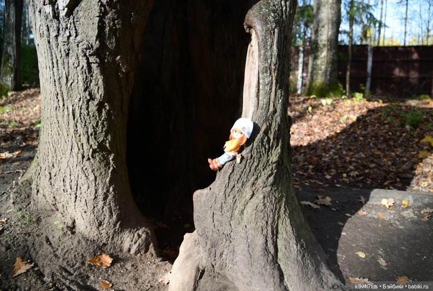 Хэппи и Джия в "Василёво", первая часть