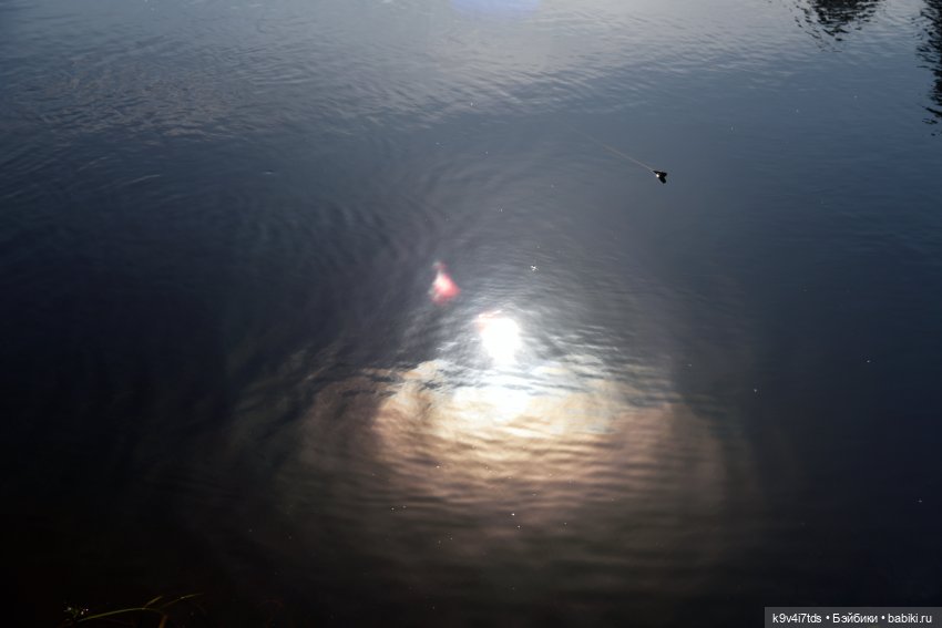 Хэппи и Джия в "Василёво", первая часть (фото 8)