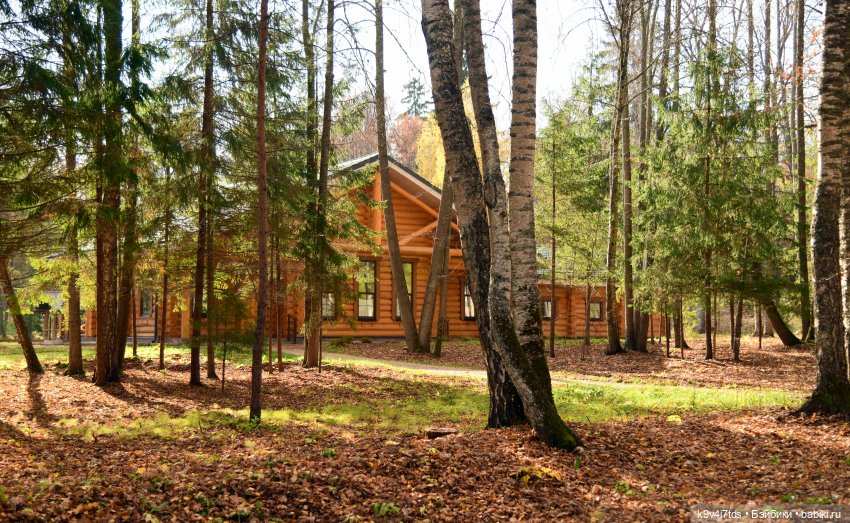 Хэппи и Джия в "Василёво", первая часть