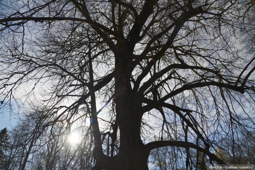Хэппи и Джия в "Василёво", первая часть