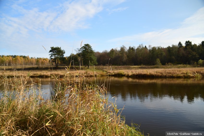 Хэппи и Джия в "Василёво", первая часть (фото 9)
