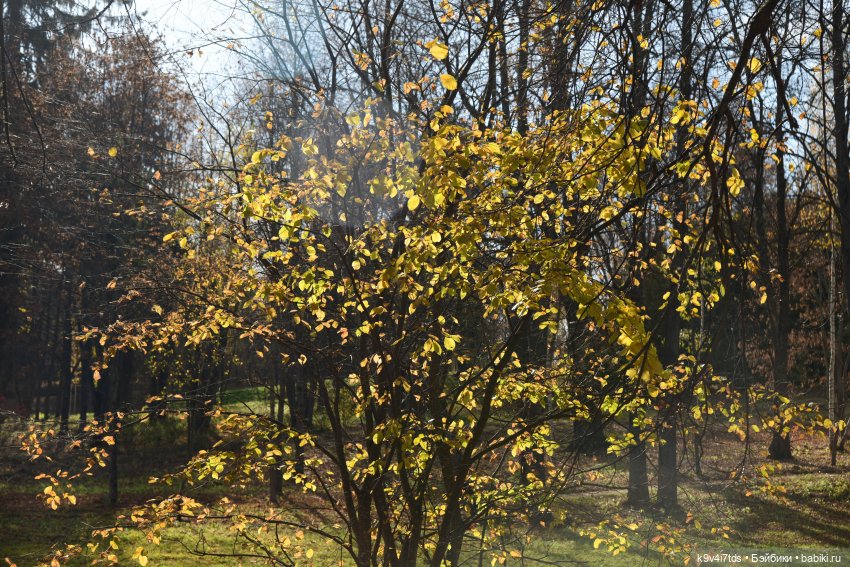 Хэппи и Джия в "Василёво", первая часть