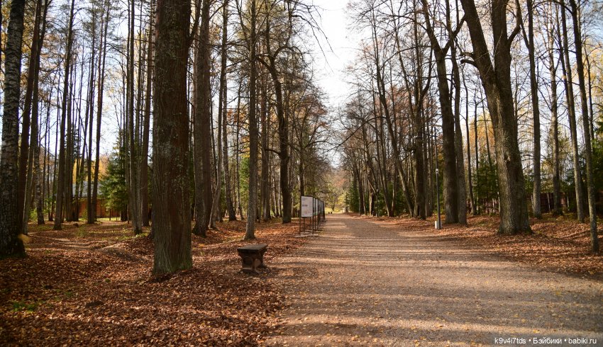 Хэппи и Джия в "Василёво", первая часть