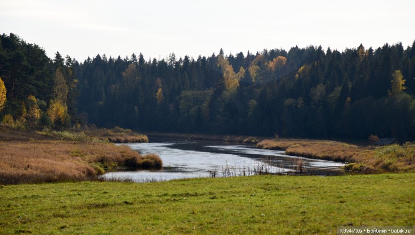 Хэппи и Джия в "Василёво", первая часть (фото 3)