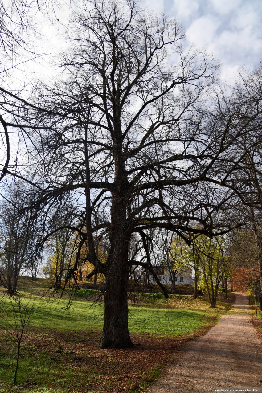 Хэппи и Джия в "Василёво", первая часть