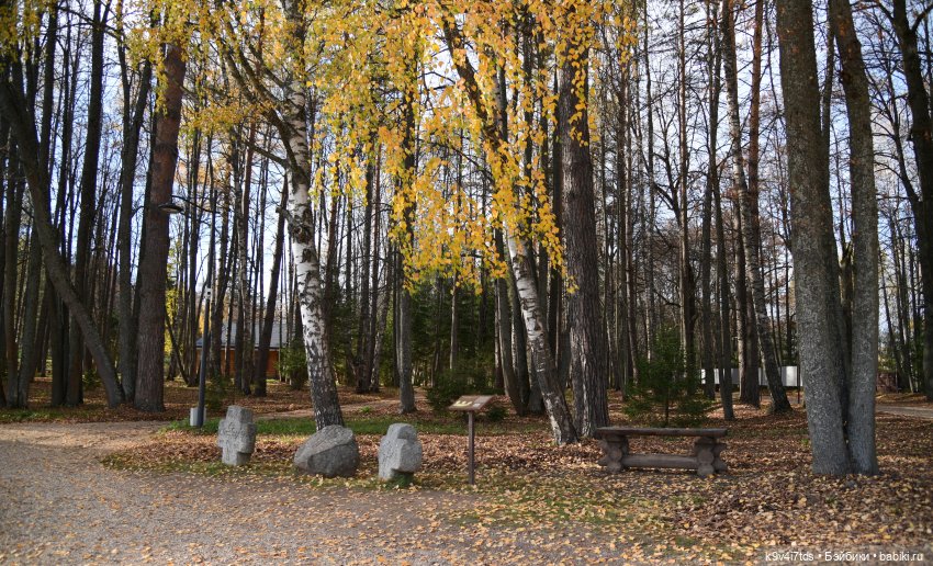 Хэппи и Джия в "Василёво", первая часть (фото 10)