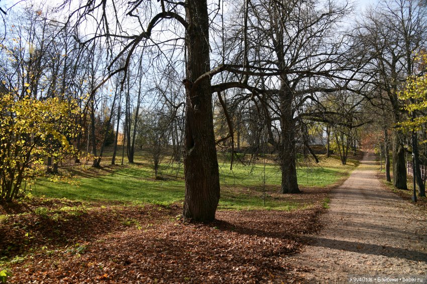 Хэппи и Джия в "Василёво", первая часть