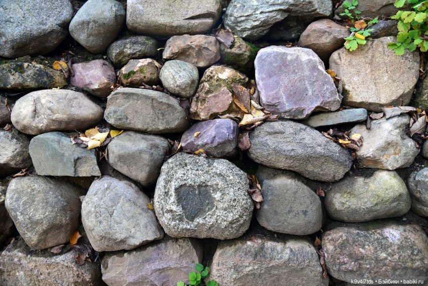 Хэппи и Джия в "Василёво", вторая часть