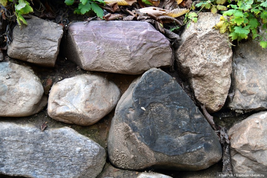 Хэппи и Джия в "Василёво", вторая часть