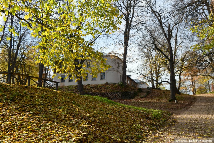 Хэппи и Джия в "Василёво", вторая часть (фото 2)