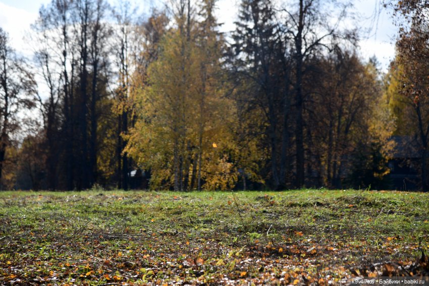 Хэппи и Джия в "Василёво", вторая часть