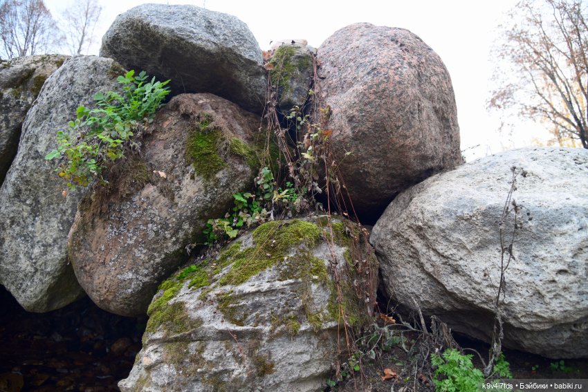 Хэппи и Джия в "Василёво", заключительная часть
