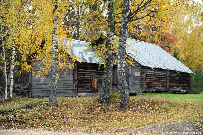 Хэппи и Джия в "Василёво", заключительная часть