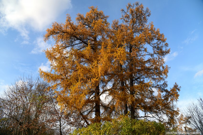 Хэппи и Джия в "Василёво", заключительная часть (фото 3)