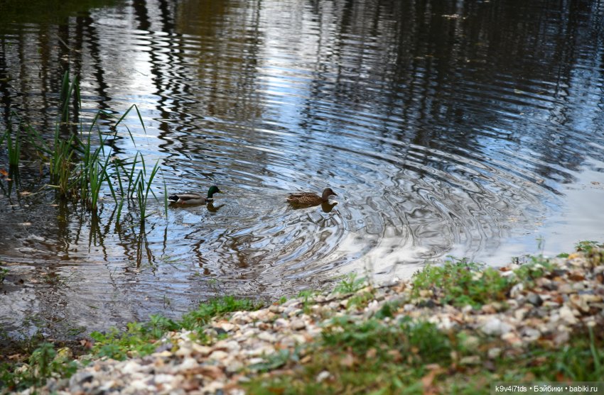Хэппи и Джия в "Василёво", заключительная часть