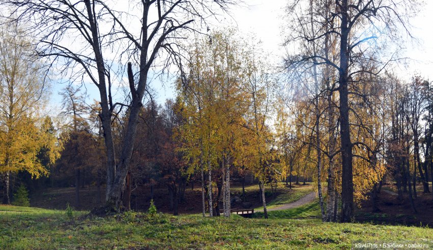 Хэппи и Джия в "Василёво", заключительная часть (фото 7)