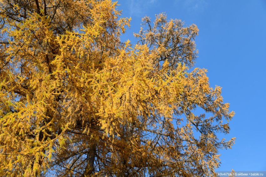 Хэппи и Джия в "Василёво", заключительная часть (фото 5)