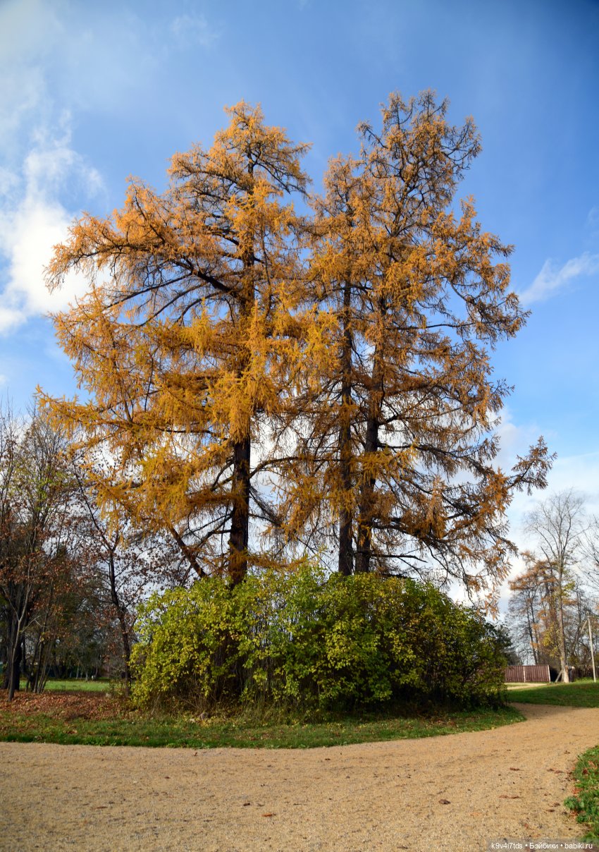 Хэппи и Джия в "Василёво", заключительная часть (фото 4)