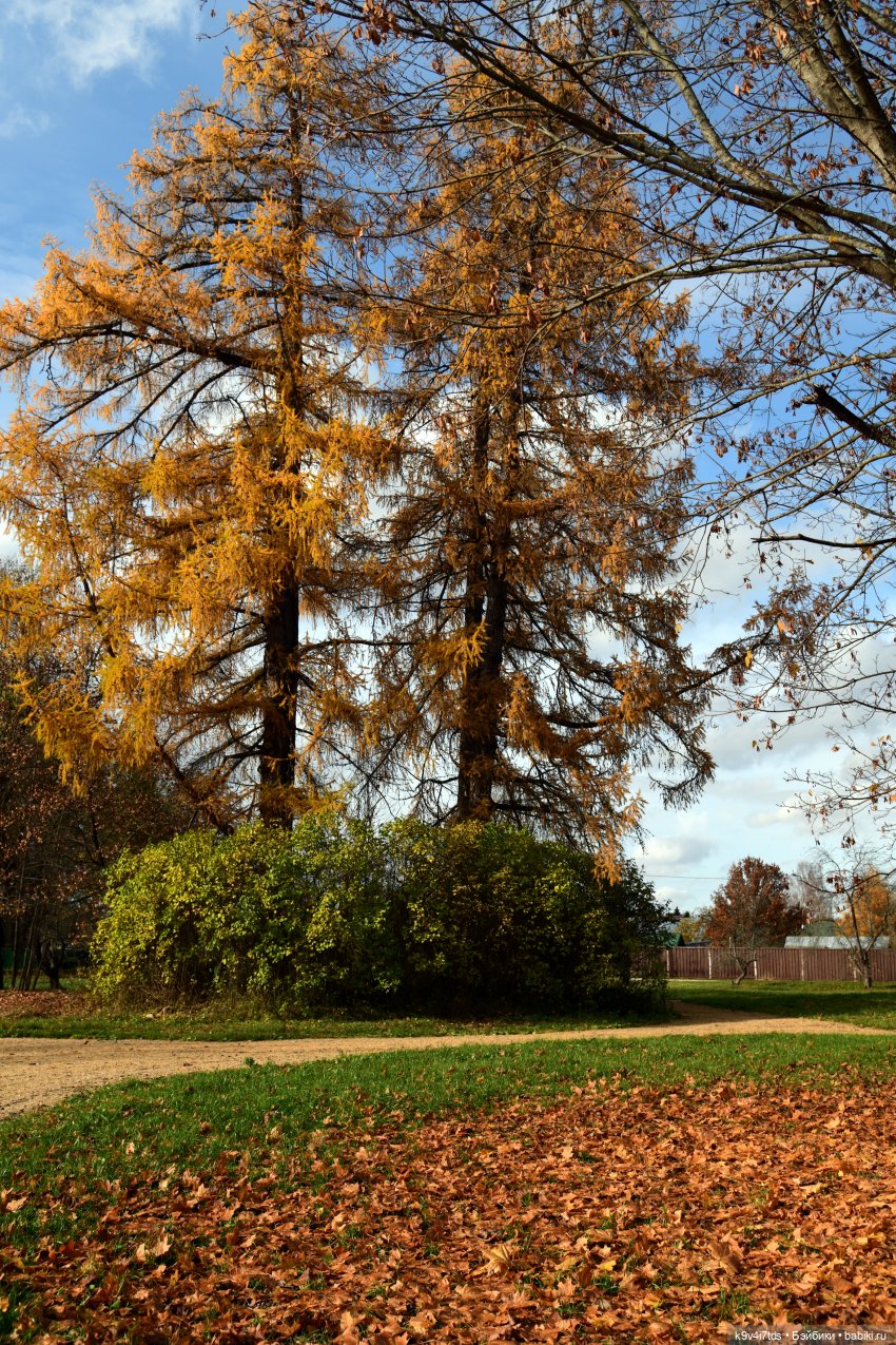 Хэппи и Джия в "Василёво", заключительная часть (фото 2)