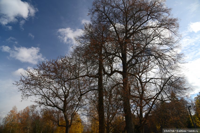Хэппи и Джия в "Василёво", заключительная часть